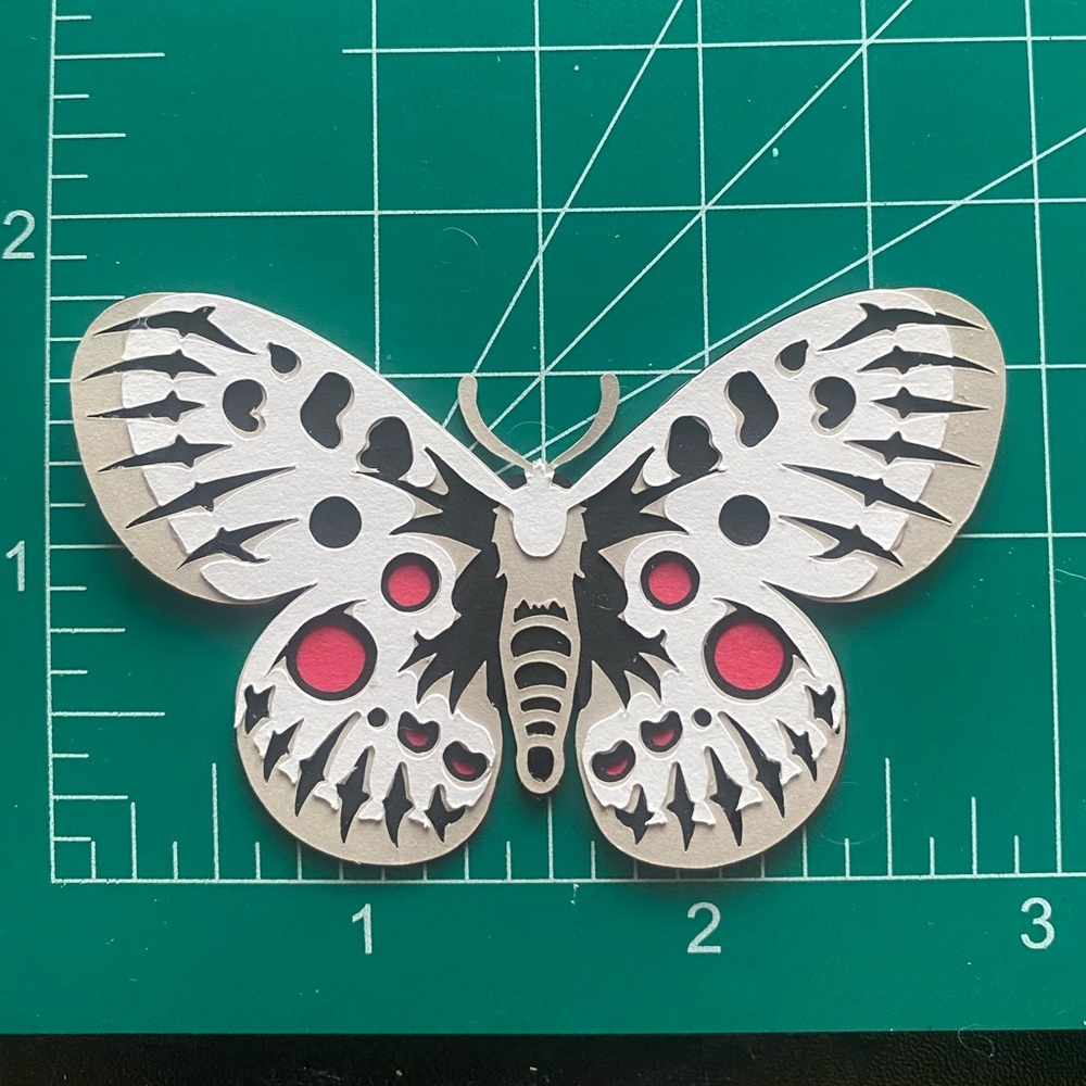 3D Magnet Apollo Butterfly